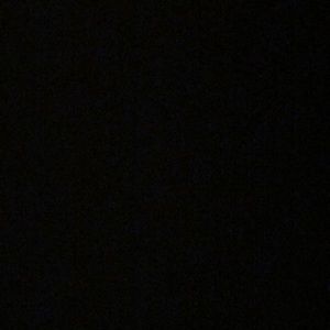 Meet your Posher, Lizzy